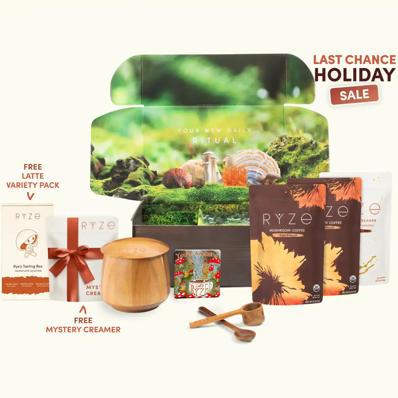 Mushroom Coffee Signature M211