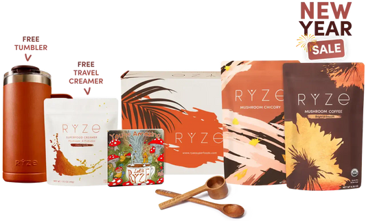 Lasting Energy Bundle Original M252
