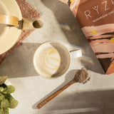 Mushroom Chicory Classic M261