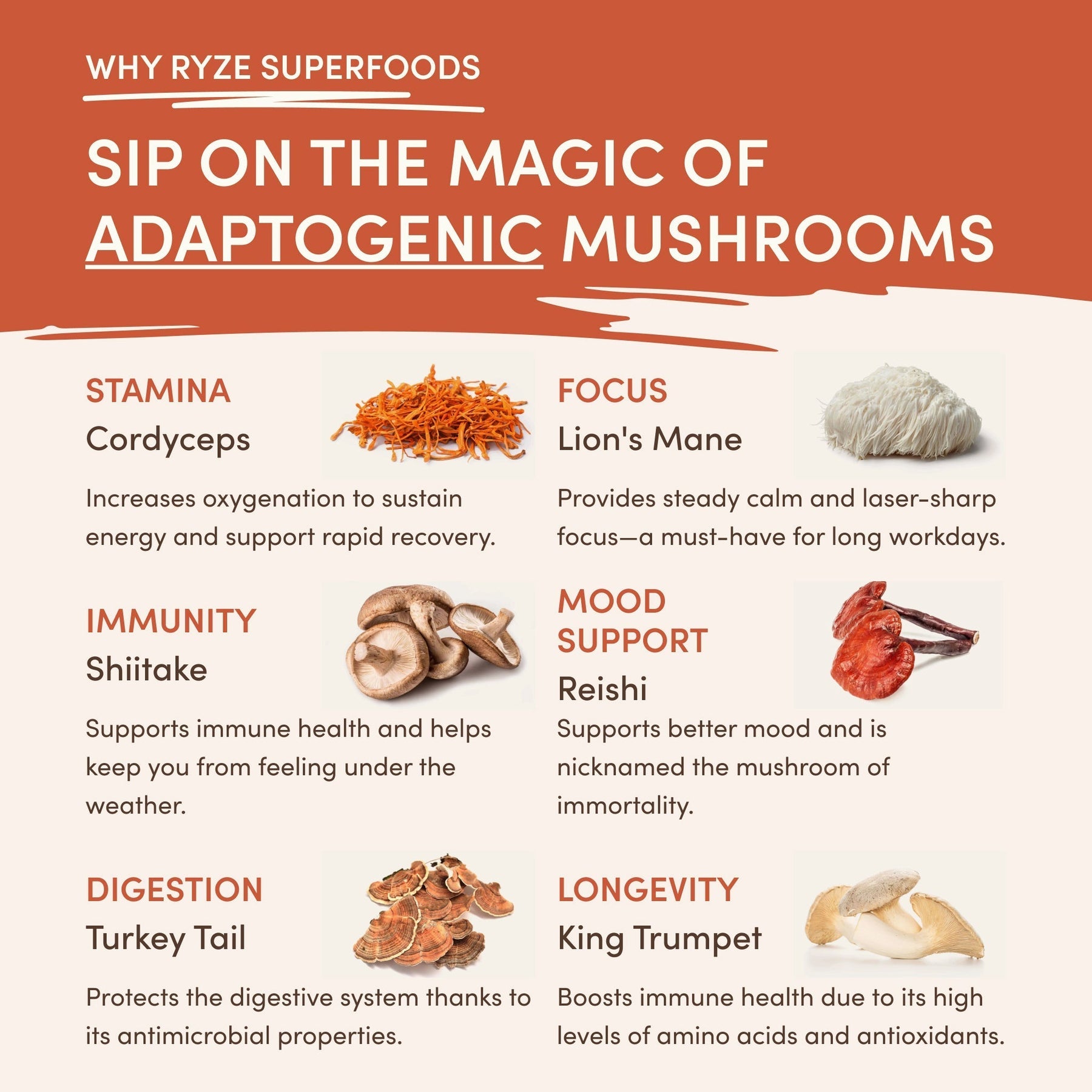 Superfood Creamer Fresh M296