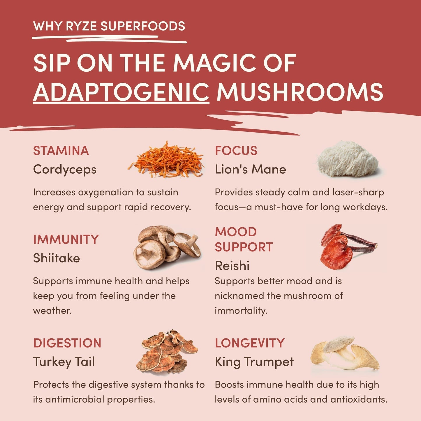 Mushroom Chai Prime M230