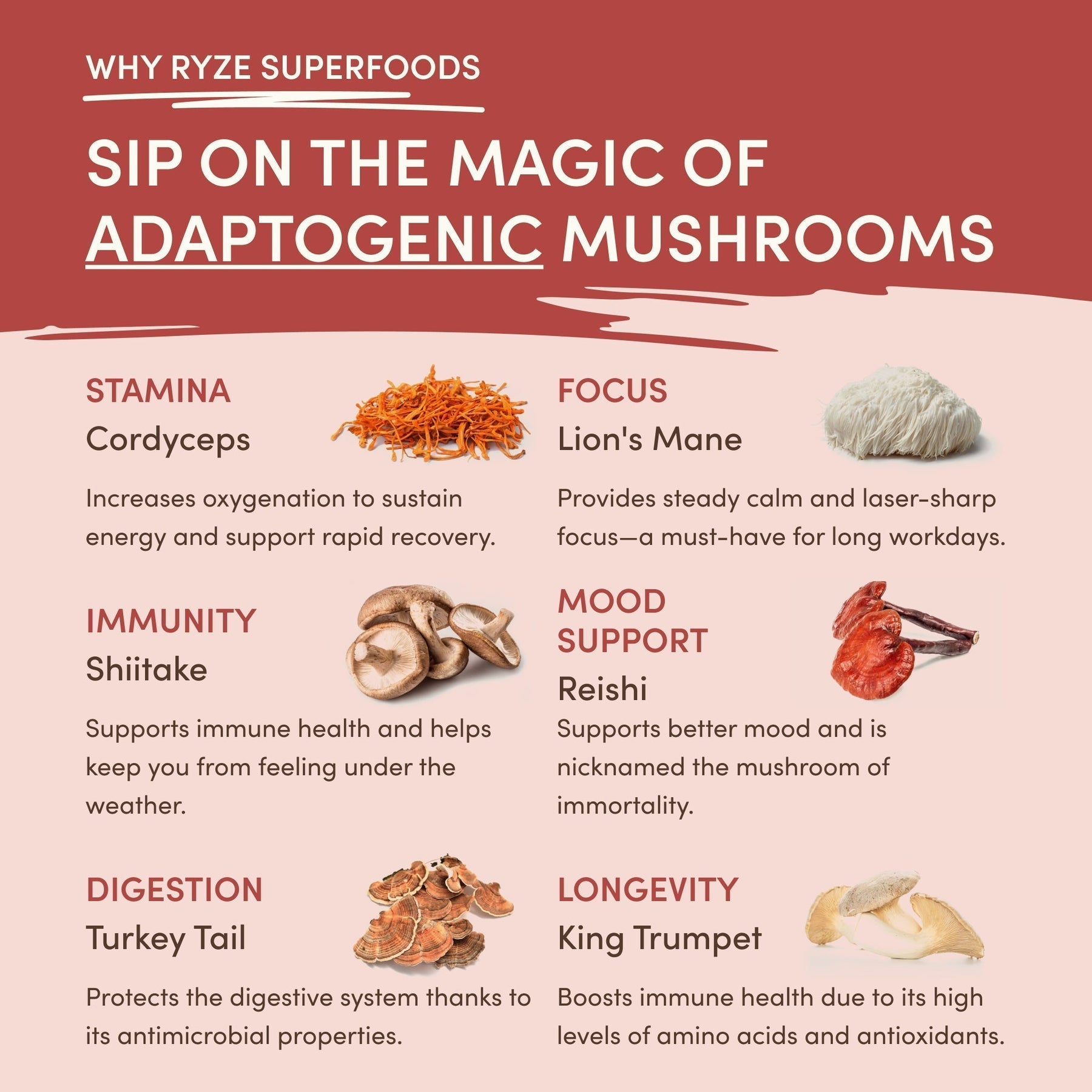 Mushroom Chai Prime M230